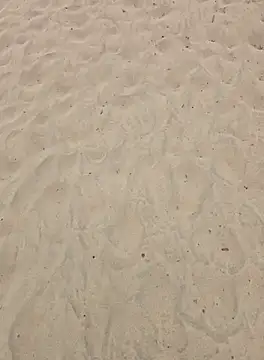 Snapshot of Trucker_Hunter chatting on September 25, 2025, 1:06 pm Trucker Hunter online show from September 25, 2025, 1:06 pm