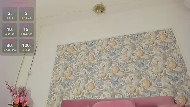 illegal lorry online show from February 20, 2026, 6:19 am