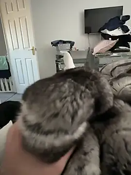 Snapshot of Furdale chatting on November 30, 2025, 11:22 am Furdale online show from November 30, 2025, 11:22 am