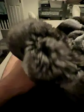 Snapshot of Furdale chatting on November 24, 2025, 4:40 pm Furdale online show from November 24, 2025, 4:40 pm