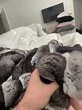 Snapshot of Furdale chatting on November 2, 2025, 1:05 pm Furdale online show from November 2, 2025, 1:05 pm