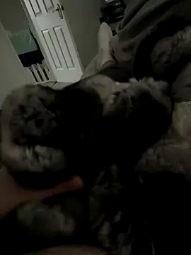 Snapshot of Furdale chatting on November 27, 2025, 1:55 pm Furdale online show from November 27, 2025, 1:55 pm