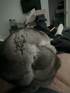 Snapshot of Furdale chatting on December 2, 2025, 2:52 pm Furdale online show from December 2, 2025, 2:52 pm