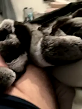 Snapshot of Furdale chatting on November 18, 2025, 5:16 pm Furdale online show from November 18, 2025, 5:16 pm