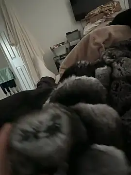 Furdale online show from February 17, 2026, 4:15 pm