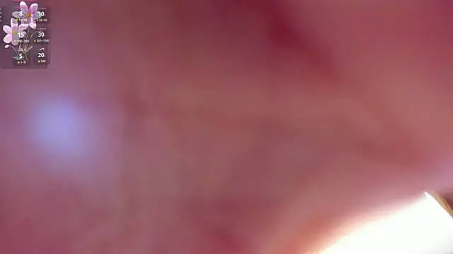 Snapshot of shanakendall chatting on February 25, 2026, 2:17 pm shanakendall online show from February 25, 2026, 2:17 pm