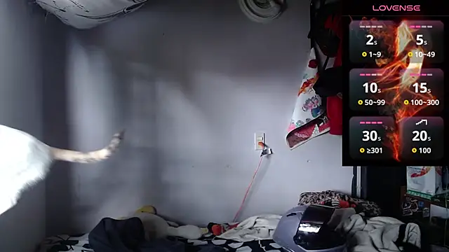 Apolo S online show from March 21, 2026, 3:16 pm