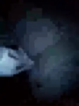 Nonelela online show from February 7, 2026, 8:39 pm