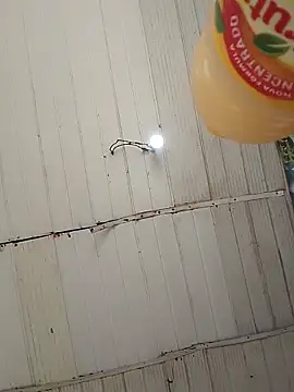 Kanekki2 online show from March 27, 2026, 12:50 pm