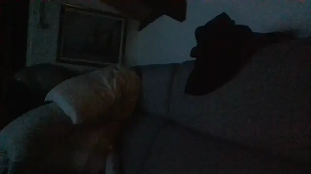 Snapshot of davigochi77bcn chatting on February 20, 2026, 10:22 pm davigochi77bcn online show from February 20, 2026, 10:22 pm