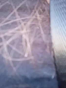 piiruwx online show from March 4, 2026, 9:22 pm