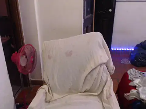 deftoolceles online show from March 12, 2026, 2:17 am