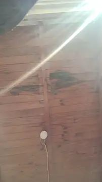 ZaraHoney online show from October 30, 2025, 7:55 pm