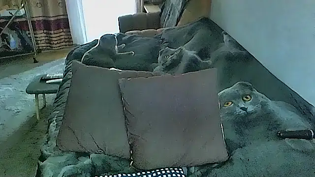 sex2 online show from October 16, 2025, 2:31 am