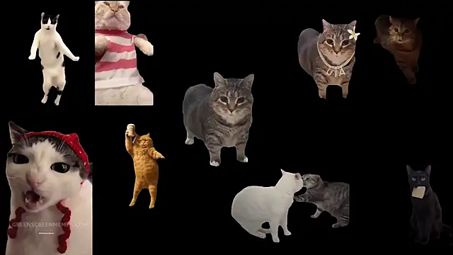 aberaaruba online show from November 10, 2025, 10:09 am