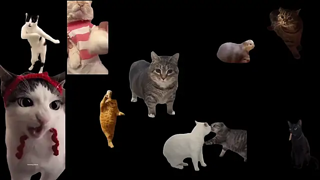 aberaaruba online show from October 29, 2025, 9:41 am