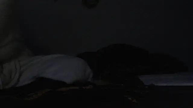 HoneyDripHer online show from December 3, 2024, 6:32 am