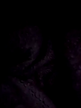 ScarletCallings420 online show from December 22, 2024, 9:20 pm