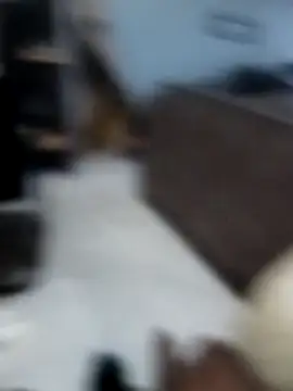 Spijomzo online show from December 19, 2025, 7:16 pm