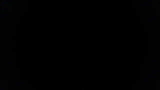 palidin1 online show from November 26, 2025, 1:16 am