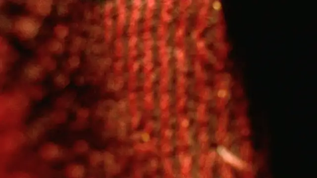 rockhead1971 online show from October 18, 2025, 10:50 am