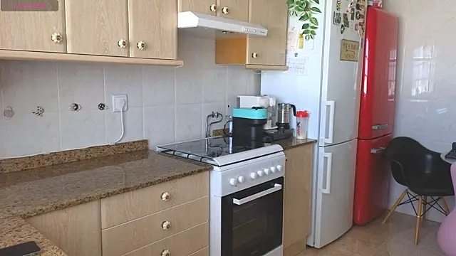 Snapshot of Lunamix chatting on February 20, 2026, 12:51 pm Lunamix online show from February 20, 2026, 12:51 pm