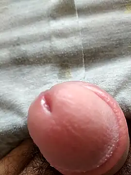 encantajpdo online show from April 1, 2026, 2:25 pm