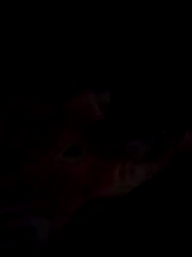 Jeck leo online show from March 14, 2025, 6:07 pm