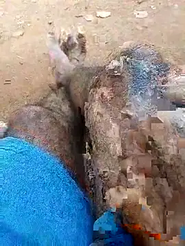 Royalk2030 online show from February 28, 2026, 6:35 am