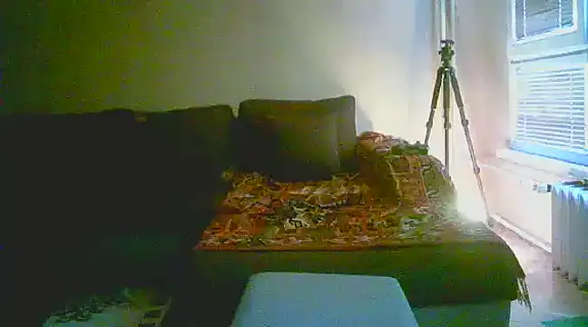 Snapshot of Power_Art chatting on January 13, 2025, 2:11 pm Power Art online show from January 13, 2025, 2:11 pm