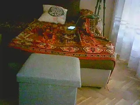 Snapshot of Power_Art chatting on March 11, 2025, 3:23 pm Power Art online show from March 11, 2025, 3:23 pm