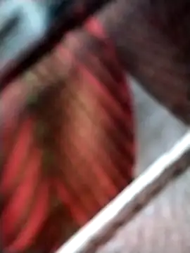 Keyla01  online show from November 7, 2025, 10:42 am