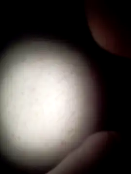 Snapshot of commonjust chatting on November 26, 2025, 5:18 am commonjust online show from November 26, 2025, 5:18 am