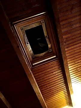 Snapshot of CurlyElisa chatting on February 26, 2026, 9:37 pm CurlyElisa online show from February 26, 2026, 9:37 pm