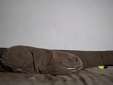 247Srokin online show from March 15, 2026, 8:32 am