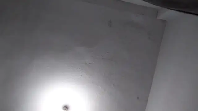 Jigolo mustafa online show from December 1, 2025, 7:59 pm