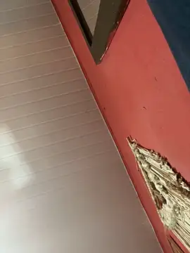 Snapshot of pimenta_gaby chatting on October 18, 2025, 1:02 pm pimenta gaby online show from October 18, 2025, 1:02 pm