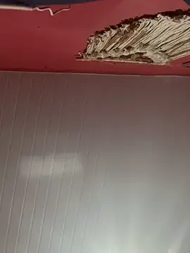 Snapshot of pimenta_gaby chatting on October 28, 2025, 11:20 am pimenta gaby online show from October 28, 2025, 11:20 am