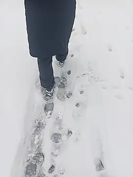 Saysomething3 online show from January 11, 2026, 7:59 am