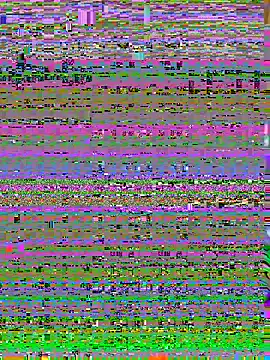 Snapshot of Ppramodya1991 chatting on March 9, 2026, 11:03 am Ppramodya1991 online show from March 9, 2026, 11:03 am