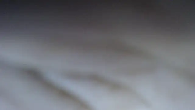 swt shadow online show from March 4, 2026, 8:16 pm