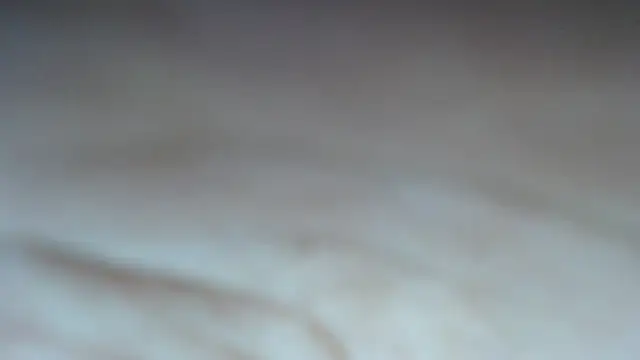 swt shadow online show from March 6, 2026, 7:31 pm