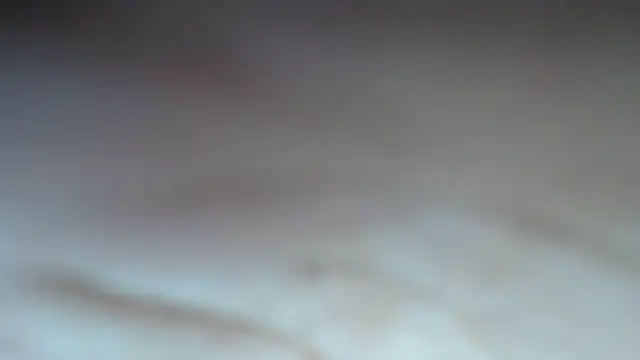 Snapshot of swt_shadow chatting on February 21, 2026, 8:00 pm swt shadow online show from February 21, 2026, 8:00 pm