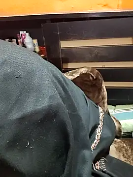 Snapshot of Diya_143 chatting on January 12, 2026, 6:36 pm Diya 143 online show from January 12, 2026, 6:36 pm