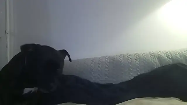 Snapshot of Elosexxy chatting on September 24, 2025, 7:09 pm Elosexxy online show from September 24, 2025, 7:09 pm