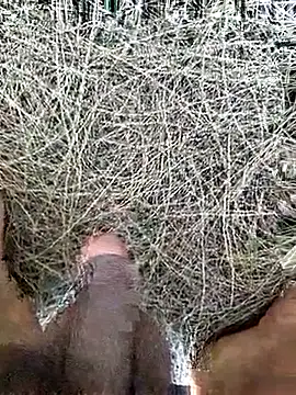 Snapshot of Gopal1243 chatting on February 19, 2026, 8:11 am Gopal1243 online show from February 19, 2026, 8:11 am