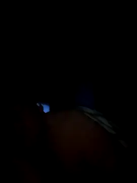 1981-AZ online show from November 27, 2025, 1:39 am