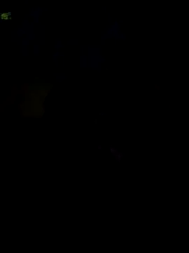 000002m online show from October 26, 2025, 6:36 am