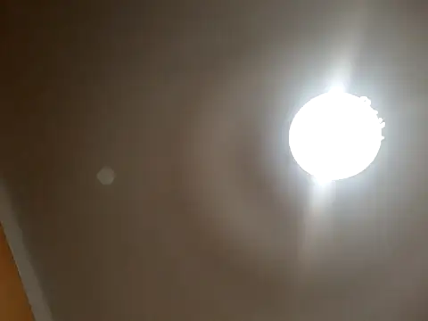 Snapshot of White_rabbit_ chatting on September 10, 2025, 8:52 pm White rabbit online show from September 10, 2025, 8:52 pm