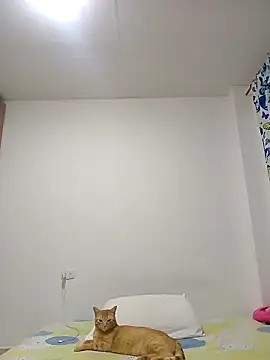 leah passion online show from January 31, 2026, 11:14 pm